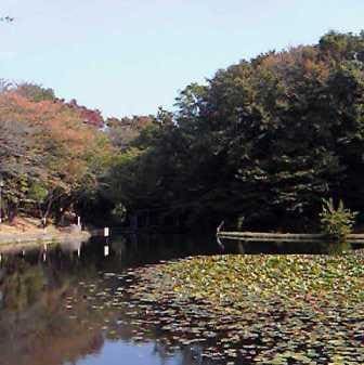 天気 都筑 区 神奈川 横浜市都筑区の天気