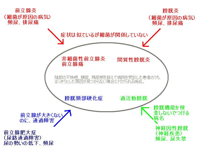 活動 膀胱 薬 過