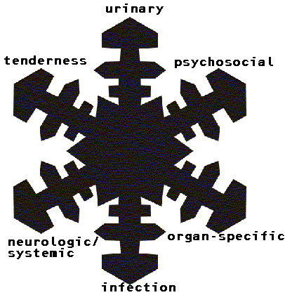 雪の結晶仮説