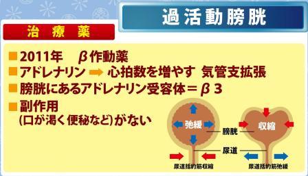 膀胱 過 薬 活動 過活動膀胱の薬をずっと飲んでいる人が注意する2つのポイント