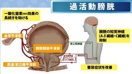 ザルティア